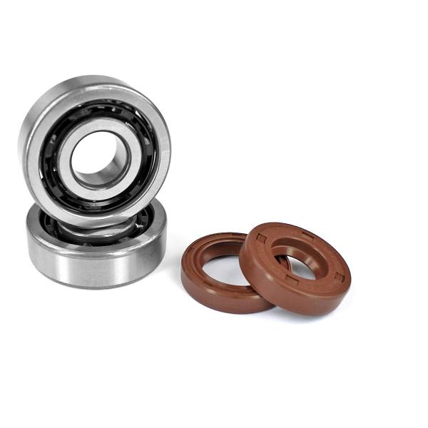 KIT ROULEMENTS SKF(6303 TN9/C3)  CAGE POLYAMIDE  (x2) + JOINTS VITON ADAPT.  MOTEUR AM6