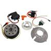 ALLUMAGE ROTOR EXTERNE FORGÉ ANALOGIQUE VARIABLE MVT MILLENIUM SUPER ENDURANCE ADAPT. MBK 51 /AV10  (EXT200)