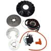 ALLUMAGE ELECTRONIQUE MVT MILLENIUM ADAPT. PIAGGIO VESPA PX 125/150/200cc (EXT124)