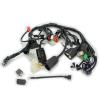 CABLAGGIO / FASCIO ELETTRICO CAFE RACER 250CC E4/5 , SP 250CC E5