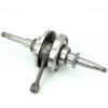 ALBERO MOTORE COMPLETO TNT MOTOR ROMA / BOSTON 10P