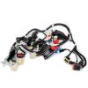 CABLAGGIO / FASCIO ELETTRICO PRINCIPALE TNT CANCUN 50CC E5