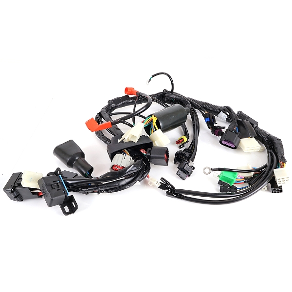 FAISCEAU ELECTRIQUE COMPLET ARCHIVE 125CC OUTBACK Euro5