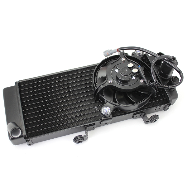 RADIATEUR ARCHIVE BLACKPEARL 125 E5