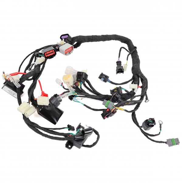 FAICSEAU PRINCIPAL ARCHIVE BLACKPEARL 125cc E5 VERSION ECU DOUBLE BROCHES