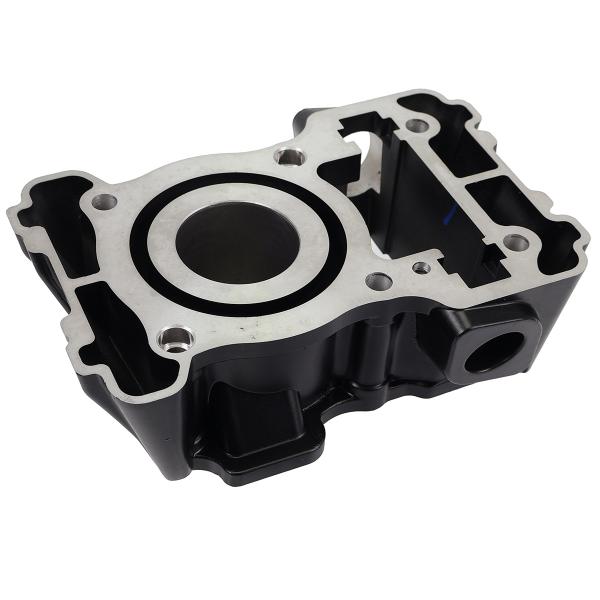 CYLINDRE ARRIERE ARCHIVE BLACKPEARL 125 CC E5 NOIR