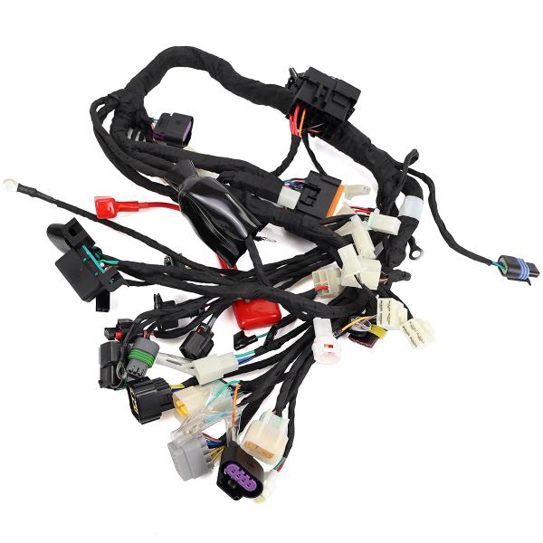 FAICSEAU PRINCIPAL ARCHIVE BLACKPEARL 125cc E5 VERSION ECU SIMPLE BROCHES