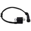 BOBINE HAUTE TENSION DIXON