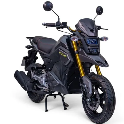 Moto 50cc automatique ECCHO STRIKE gris mat