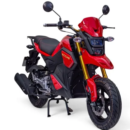 Moto 50cc automatique ECCHO STRIKE rouge
