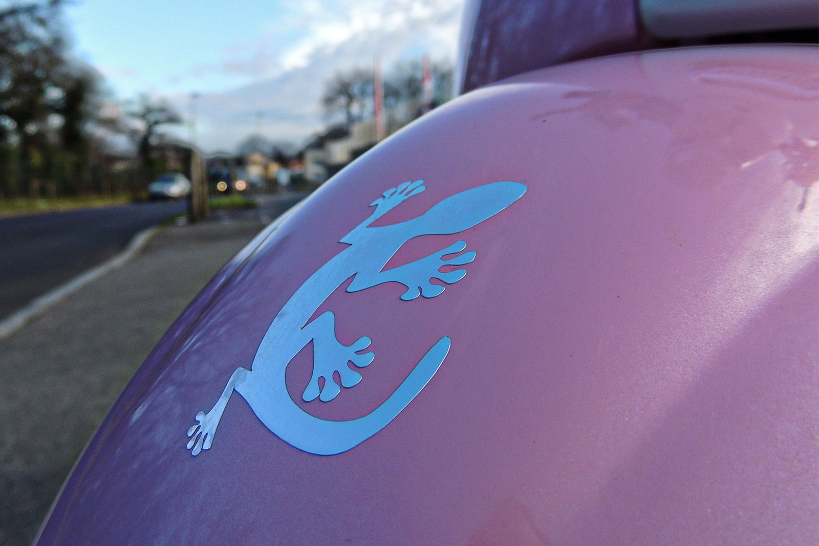 SCOOTER 50 ECCHO PINK 