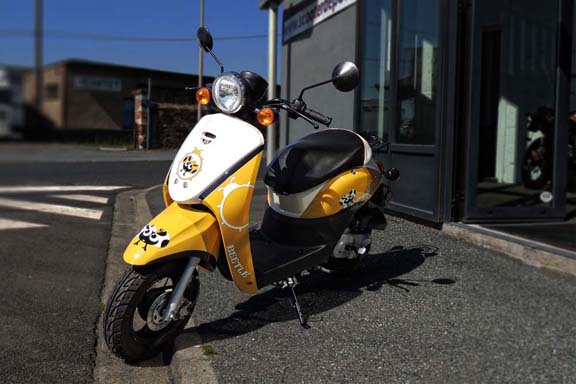 Scooter 50 Eccho Coxy - Yiying YY50QT36