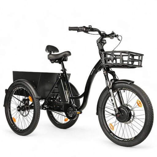 le tricycle électrique LEADER FOX CURTIS NOIR